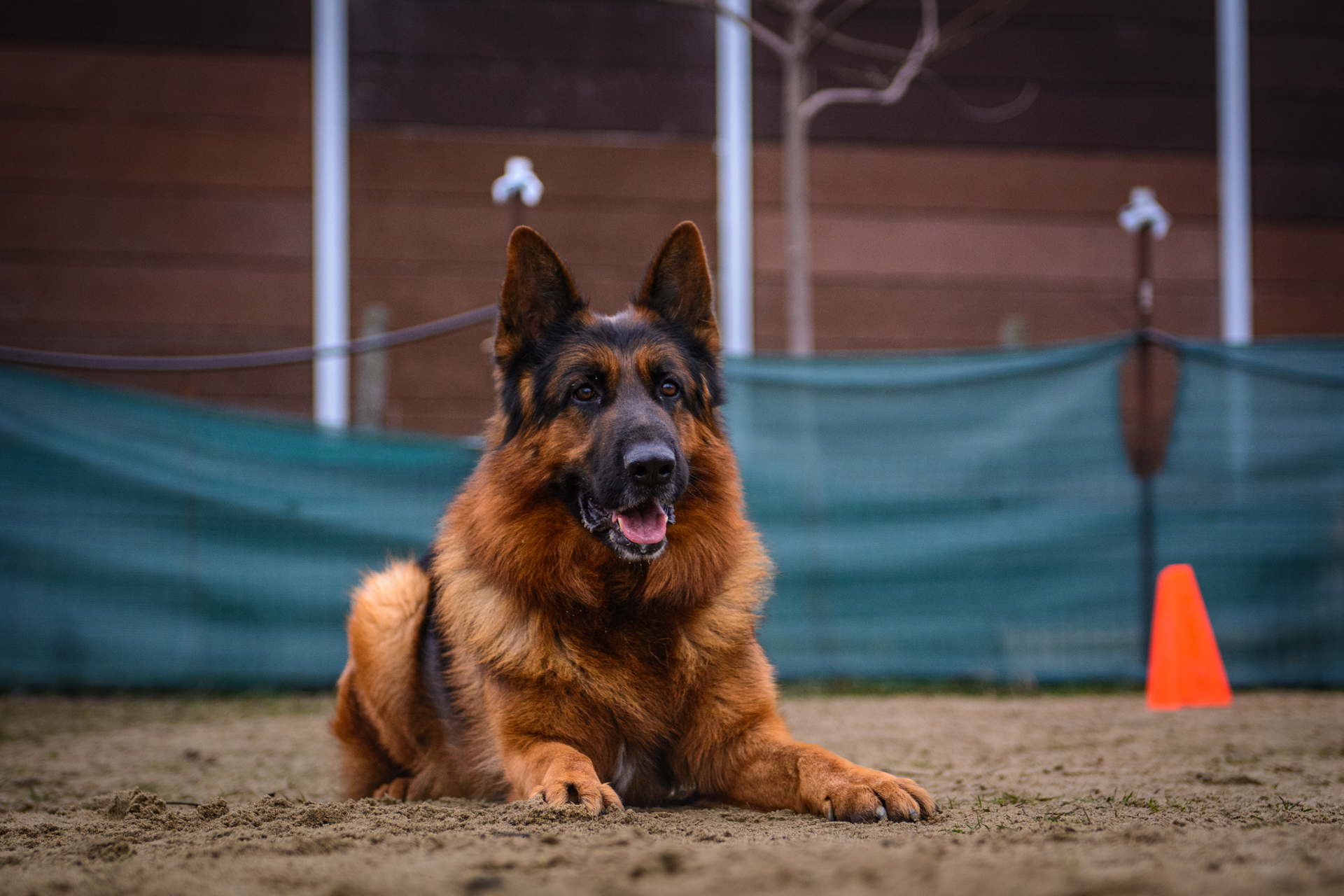 Új kihívások, egyedi ötletek, sajátos emlékek